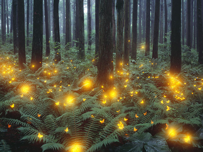 SHFT | Read | lee jeong lok makes mesmerizing natural landscapes ...